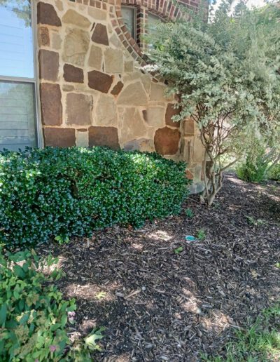 home stone addition in murphy tx